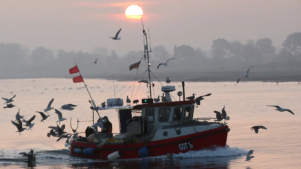 9c9c6efdda613909b2aa7ffee0927b39