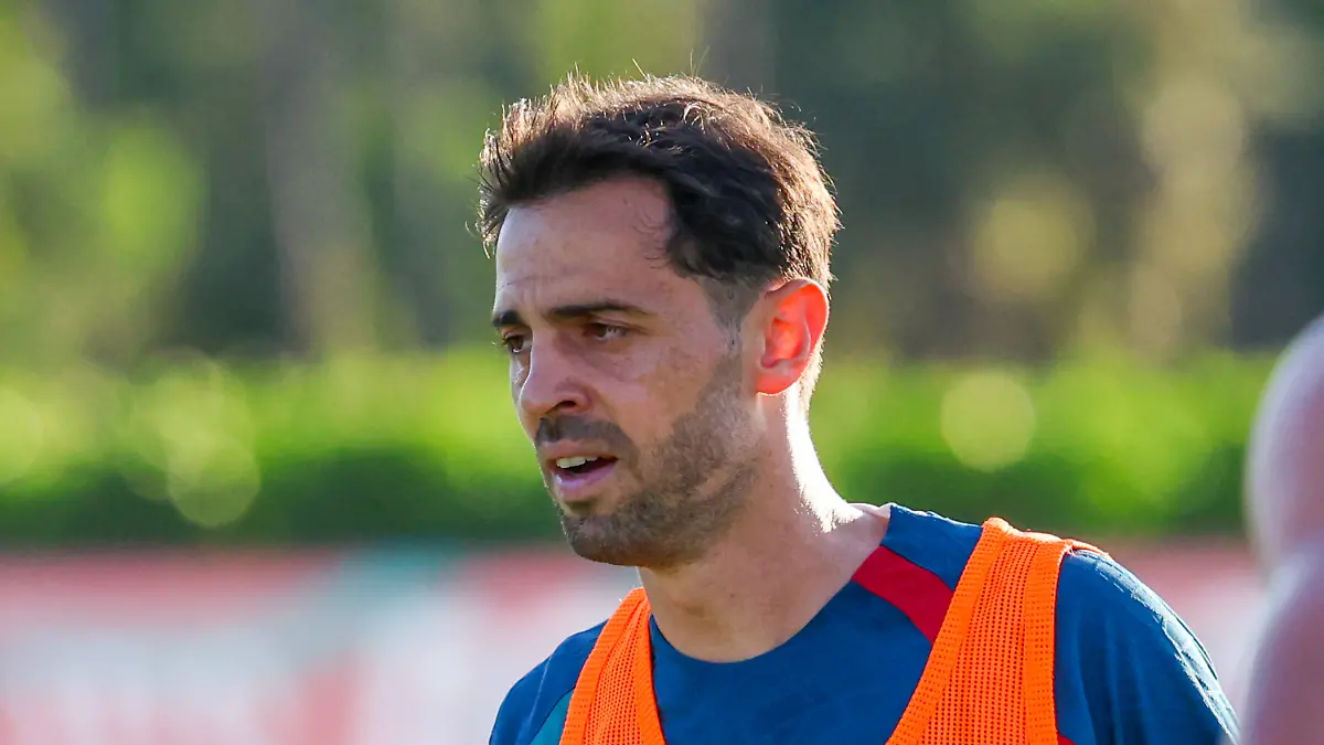Bernardo-Silva