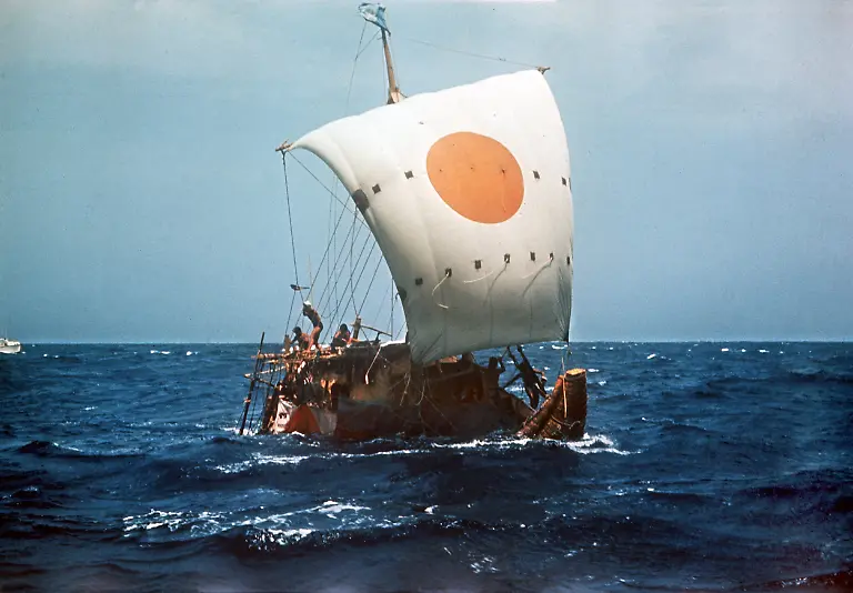 19564465