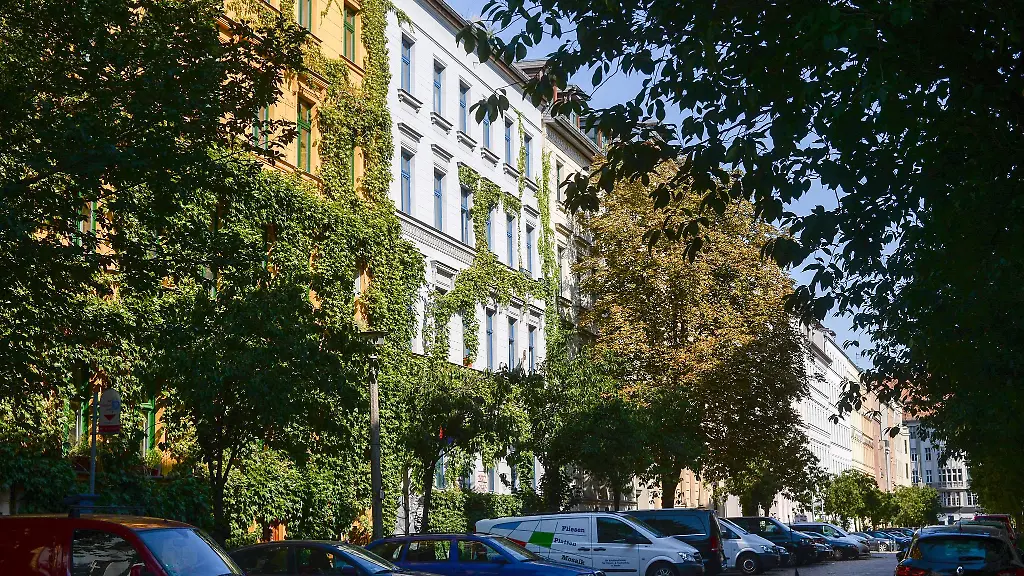 Berlins-Baeume-brauchen-im-Sommer-Hilfe