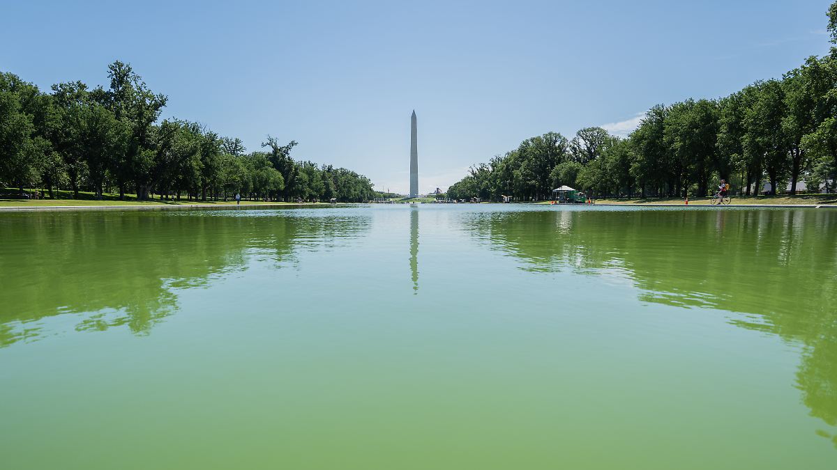 Trump’s Reflecting Pool Turns Green Again: Algae Crisis at Washington Landmark
