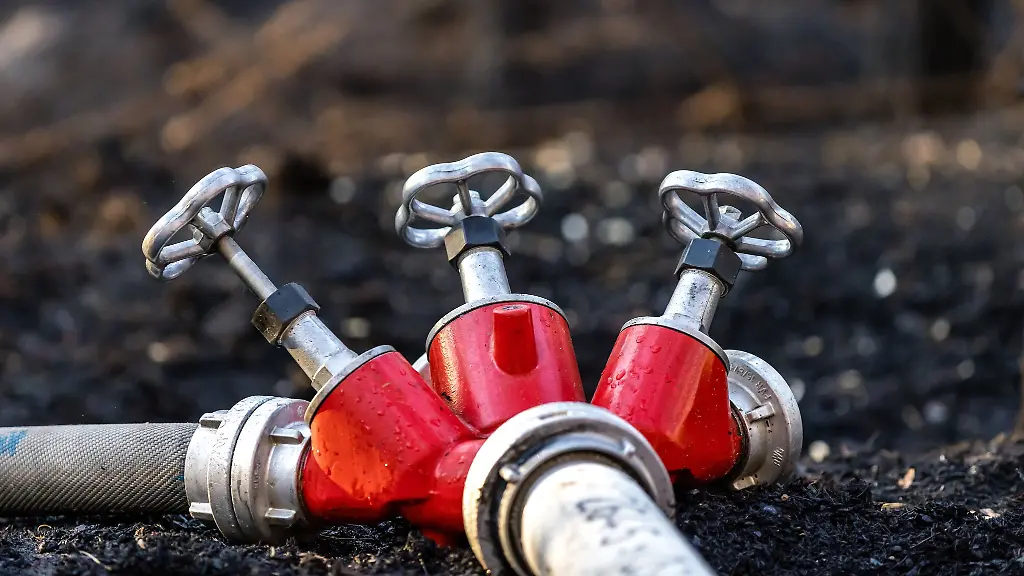 Rund-350-Kraefte-der-Feuerwehr-loeschten-den-Waldbrand