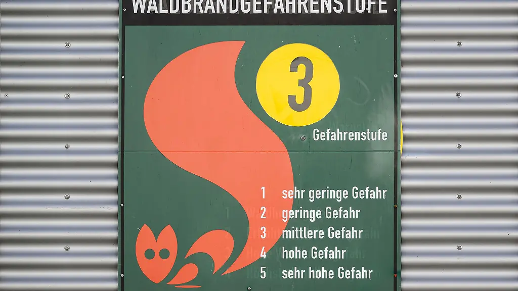 In-Ostthueringen-ist-die-Waldbrandgefahr-vorerst-gesunken