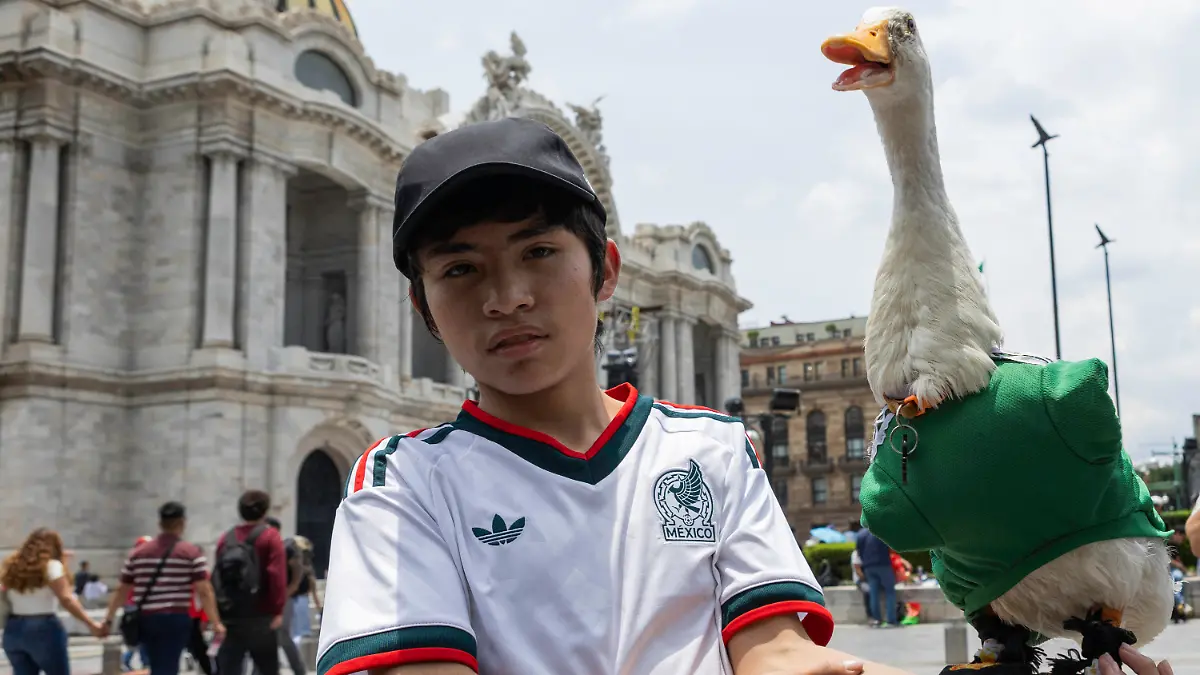 Merlin-The-World-Cup-Duck-The-Unofficial-Mascot-Of-The-Mexican-national-team-Nationalteam-Merlin-the-World-Cup-Duck-wearing-the-Mexican-national-team-jersey-is-seen-outside-the-Palace-of-Fine-Arts-in-Mexico-City-Mexico-on-June-16-2026-Karla-Gomez-and-her-son-Christian-own-Merlin-a-duck-who-has-gained-popularity-on-social-media-after-appearing-at-Mexican-fans-celebrations-The-duck-is-often-seen-wearing-the-Mexican-national-team-jersey-which-has-endeared-him-to-the-public-and-led-to-him-being-adopted-as-the-team-s-unofficial-mascot-Mexico-City-Mexico-PUBLICATIONxNOTxINxFRA-Copyright-xCristianxLeyvax-originalFilename-leyva-notitle260616-nplMS