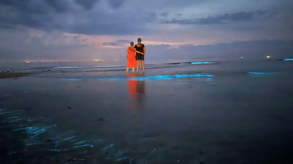 Im-flachen-Wasser-beobachten-zwei-Frauen-Meeresleuchten-am-Nordstrand-von-Norderney