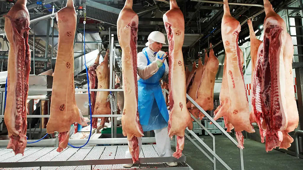 e3daf39e8b9181712a50451990bb12e9