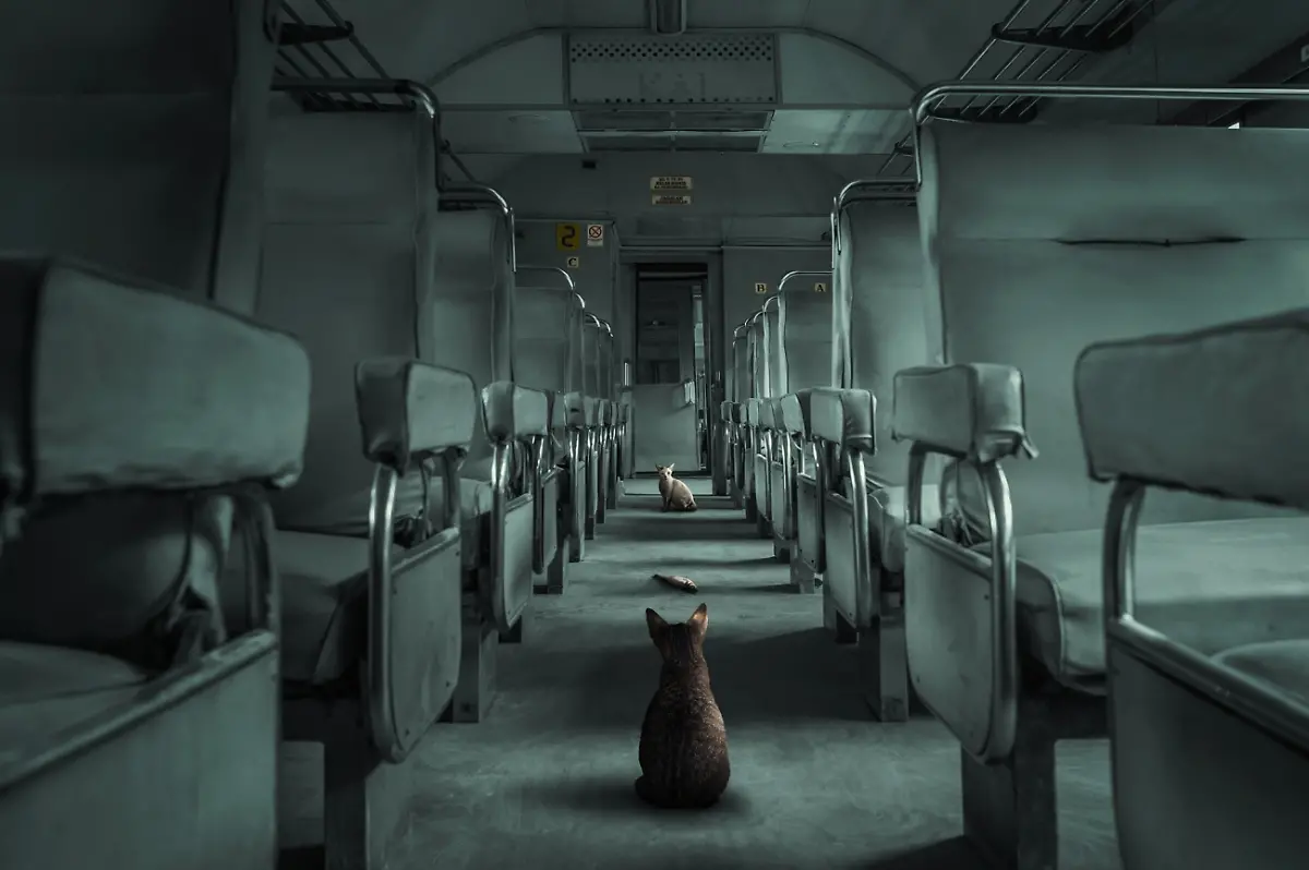 NICHT-VERWENDEN-48577