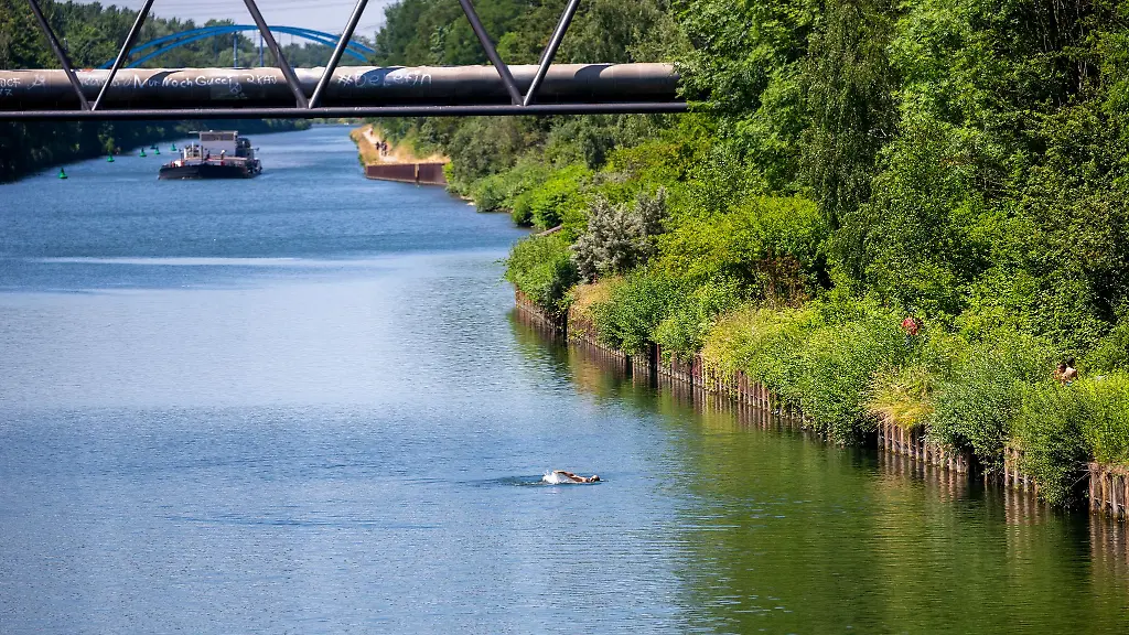 Ein-16-Jaehriger-ist-am-Samstagabend-in-den-Rhein-Herne-Kanal-gesprungen-und-dann-untergegangen-Reanimationsversuche-blieben-vergeblich
