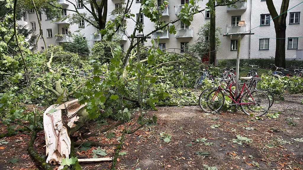 Ein-Gewitter-sorgte-in-Berlin-fuer-zahlreiche-Einsaetze-der-Feuerwehr