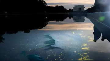 2026-06-22T011252Z_159597275_RC2OYLATXY4N_RTRMADP_3_USA-250-REFLECTING-POOL