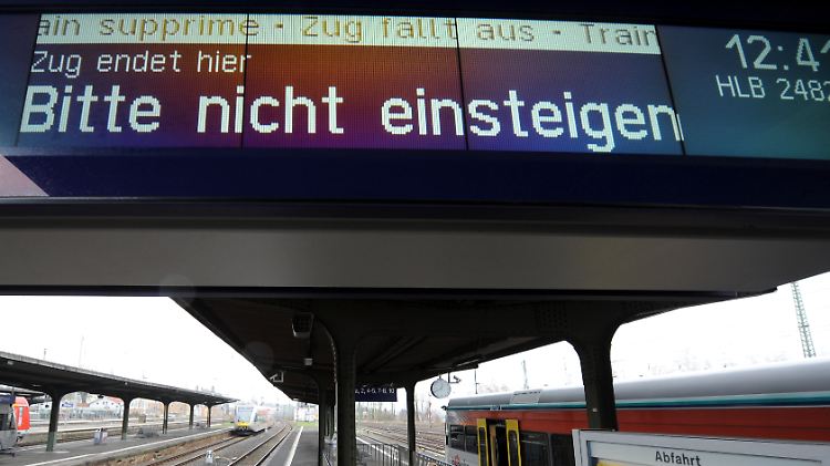 23860944.jpg