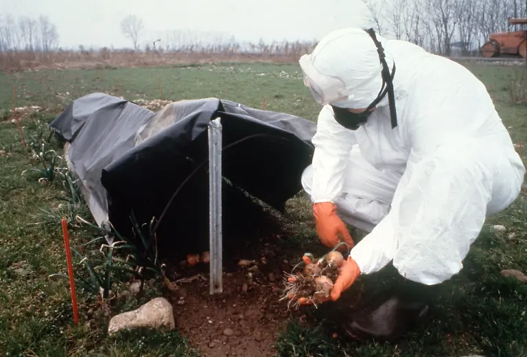 Spezialisten-in-Schutzanzuegen-entnehmen-Gewaechs-und-Bodenproben-in-der-Umgebung-von-Seveso-um-sie-auf-giftige-Rueckstaende-zu-untersuchen-aufgenommen-1976-Am-10-7-1976-war-aus-einem-undichten-Kessel-des-Chemiewerkes-Icmesa-am-Stadtrand-der-Gemeinde-Meda-nahe-Mailand-eine-Giftgaswolke-explosionsartig-ausgetreten-Durch-den-Wind-verteilte-sie-sich-auf-ein-weites-Gebiet-und-ging-in-der-Nachbargemeinde-Seveso-nieder-Nachdem-am-14-7-Blaetter-von-den-Baeumen-fielen-und-Kleintiere-verendeten-wurden-Proben-des-Giftes-analysiert-Es-handelte-sich-um-das-hochgiftige-Dioxin-Tetrachlordibenzodioxin-kurz-TCDD