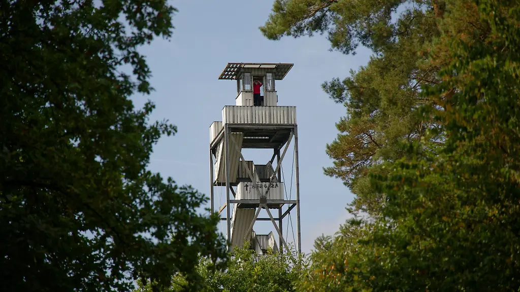 Der-Feuerwachturm-Galgenberg-ragt-im-Waldgebiet-Hohe-Mark-ueber-die-Wipfel-der-Baeume