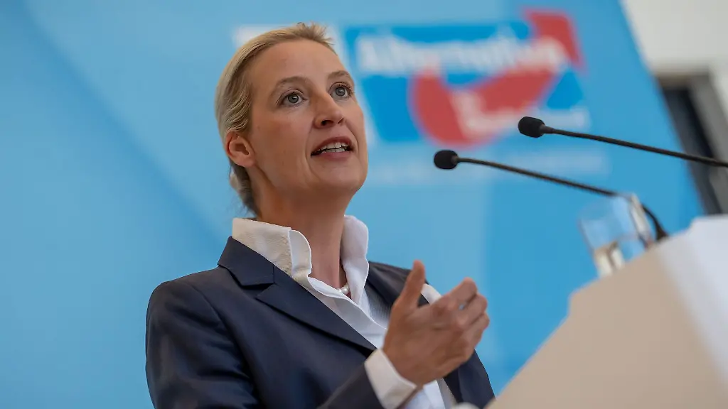 AfD-Chefin-Alice-Weidel-bemaengelt-die-Empfehlungen-der-Rentenkommission-seien-nicht-ausreichend