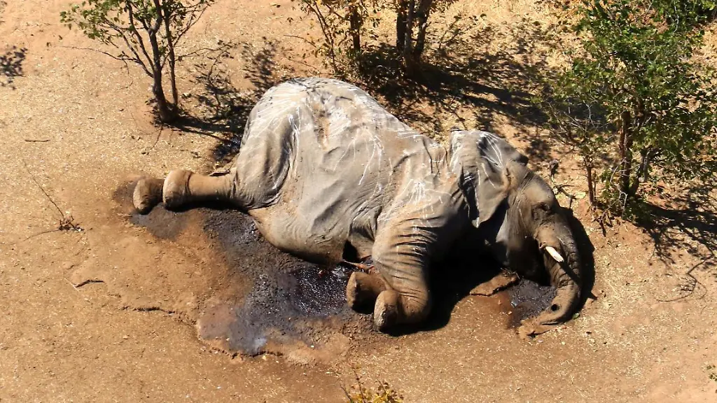 7b90a9b6a3c150fd18b32f629454fd51