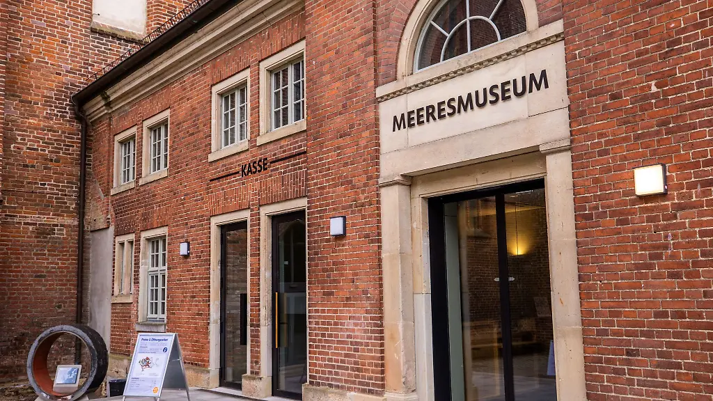 Anlaesslich-des-Jubilaeums-laedt-das-Deutsche-Meeresmuseum-zu-Sonderaktionen-ein