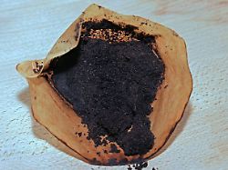 In Garten und Küche: So kann man Kaffeesatz wiederverwenden