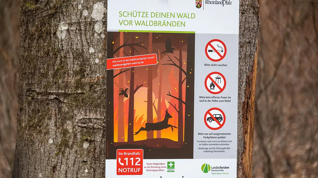 Bei-erhoehter-Gefahr-werden-gefaehrdete-Waldgebiete-zusaetzlich-kontrolliert