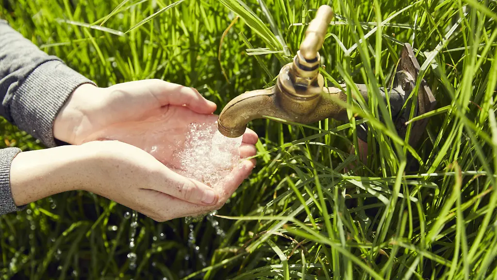 f96ad6a75a813e11fe8826b82499c97e