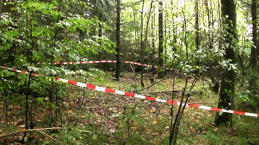 82df2df09ddc24261a4c065f24a1ecdb