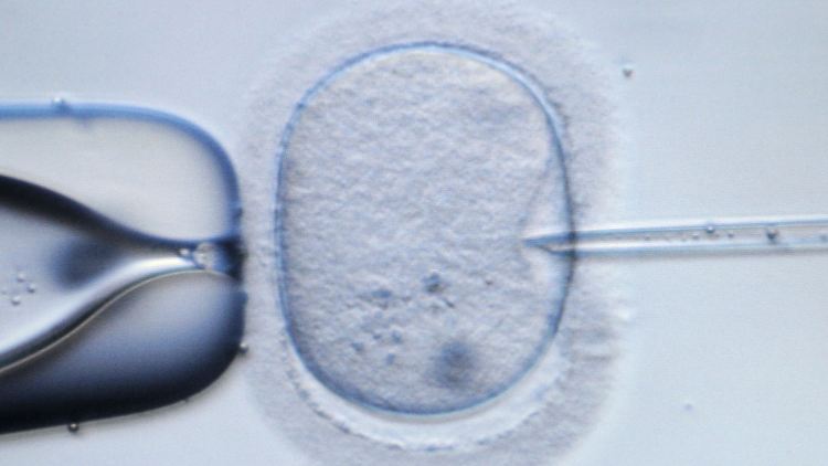 Bis 2006 wurden weltweit rund drei Millionen Babys nach künstlicher Befruchtung geboren.
