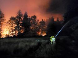 Tausende Quadratmeter in Flammen: Waldbrand wütet in Bayern - Autobahn gesperrt