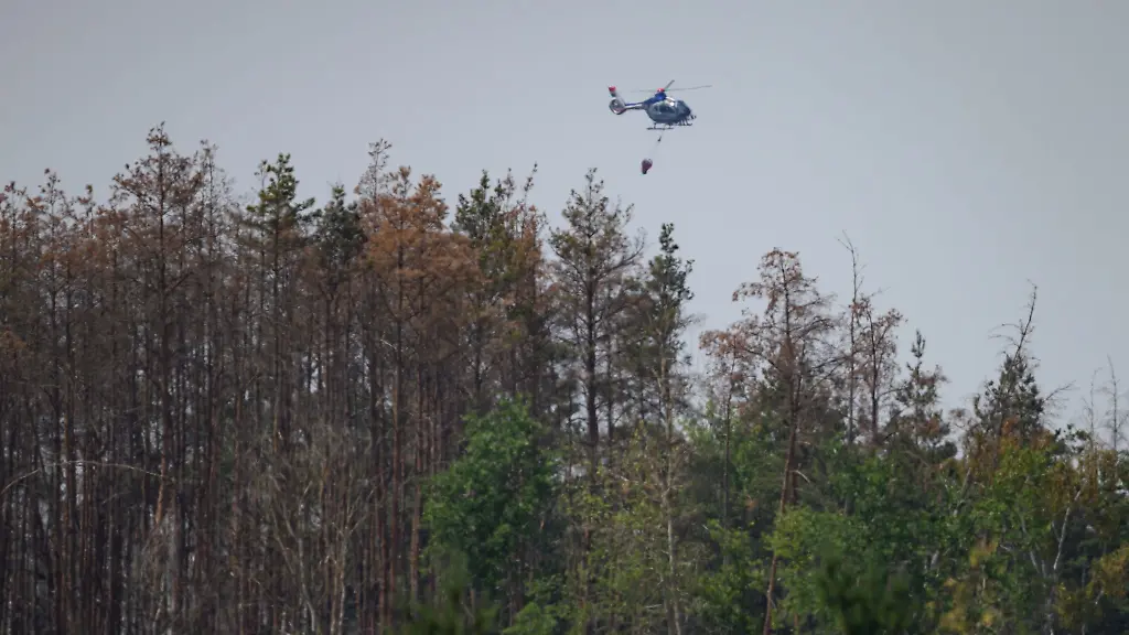 In-der-Gohrischheide-im-Landkreis-Meissen-war-am-Samstag-in-munitionsbelastetem-Gebiet-ein-groesserer-Brand-ausgebrochen