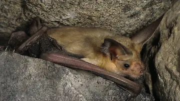 imago62112555