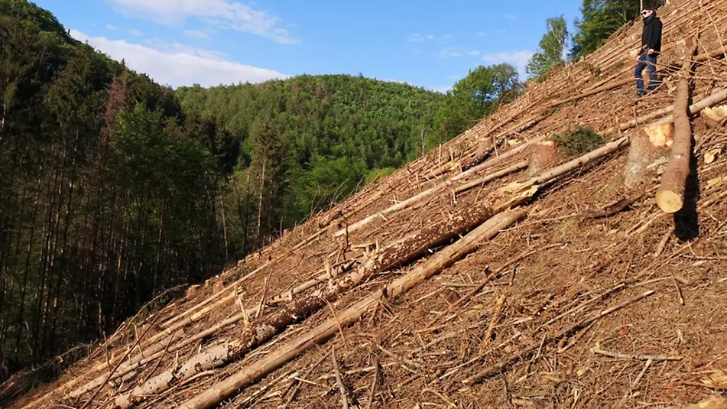 ACHTUNG-Nur-zur-redaktionellen-Verwendung-im-Zusammenhang-mit-der-aktuellen-Berichterstattung