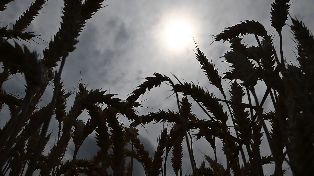Heute-soll-die-Sonne-oefters-durch-die-Wolken-kommen