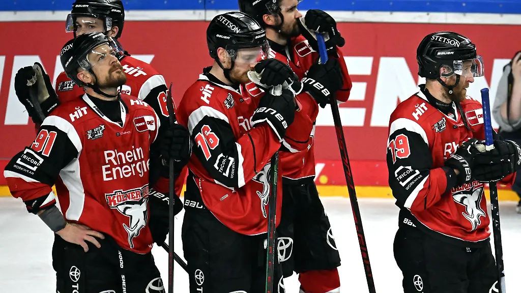 Die-Koelner-Haie-spielen-erstmals-seit-zwoelf-Jahren-in-der-Eishockey-Champions-League
