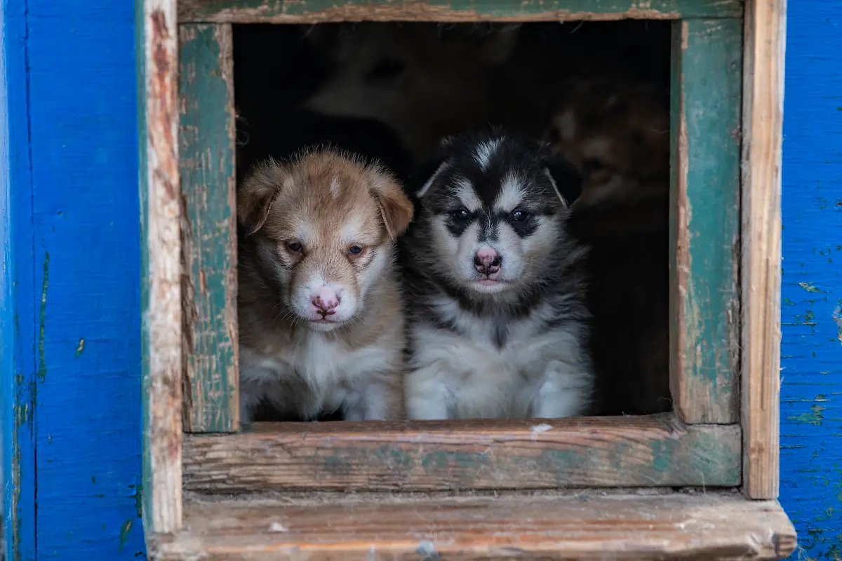 Bild-40-von-40-PC-2018-09-21-002