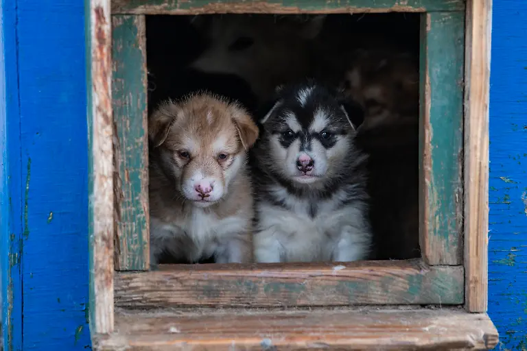 Bild-40-von-40-PC-2018-09-21-002