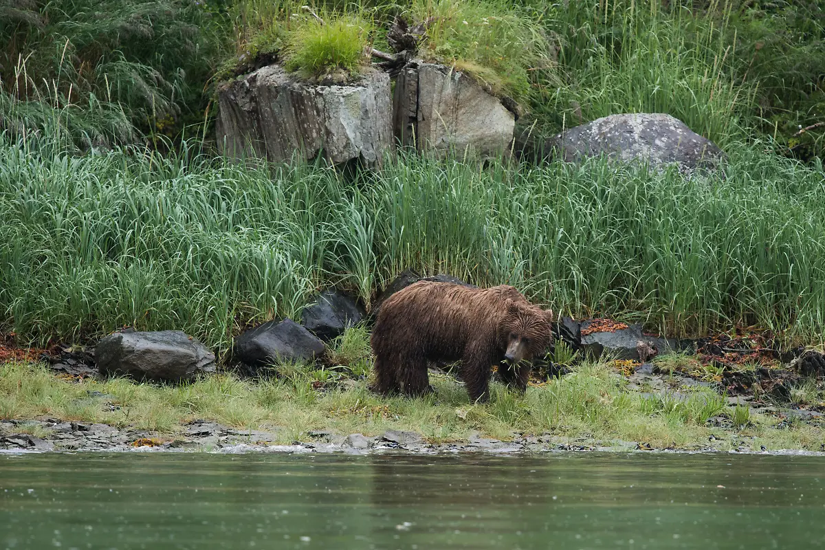 Bild-25-von-40-PC-2017-07-19-001