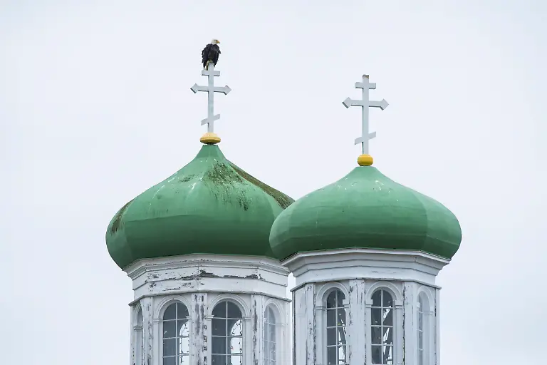 Bild-22-von-40-PC-2017-07-10-001