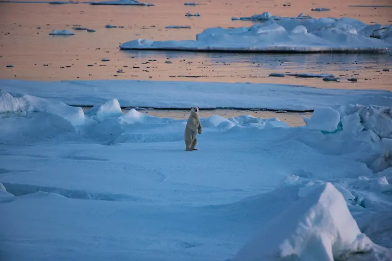 Bild-13-von-40-PC-2016-09-04-014