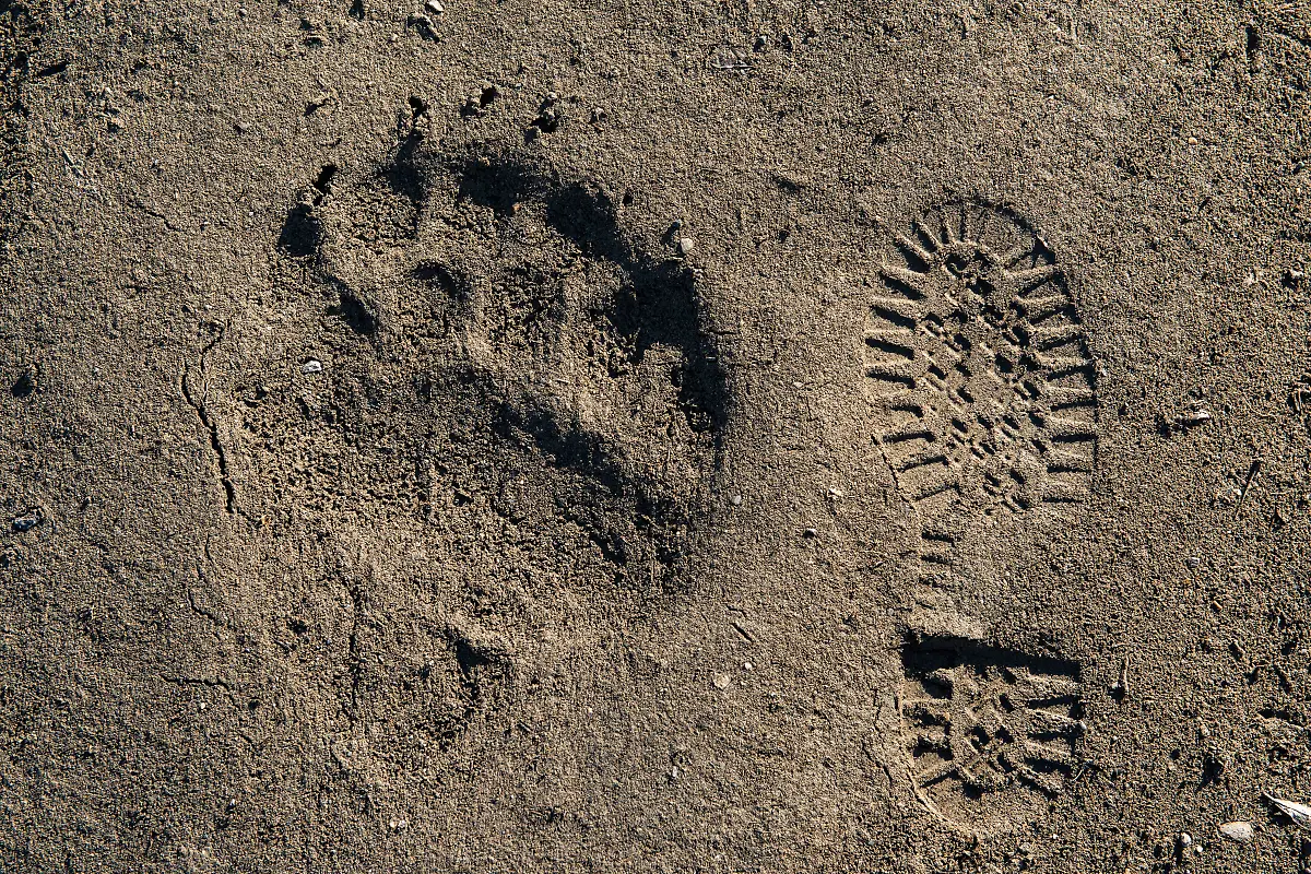 Bild-12-von-40-PC-2016-09-03-004