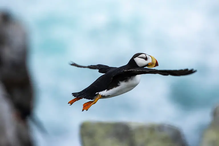 Bild-10-von-40-PC-2016-09-06-001