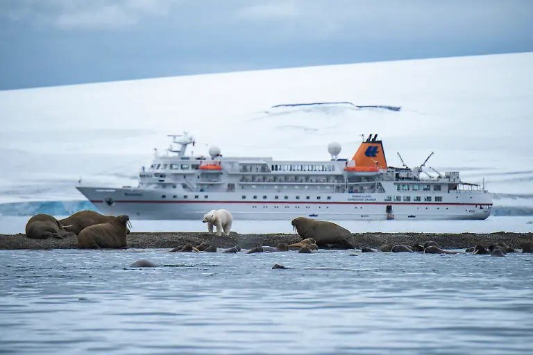 Bild-8-von-40-PC-2015-08-20-005