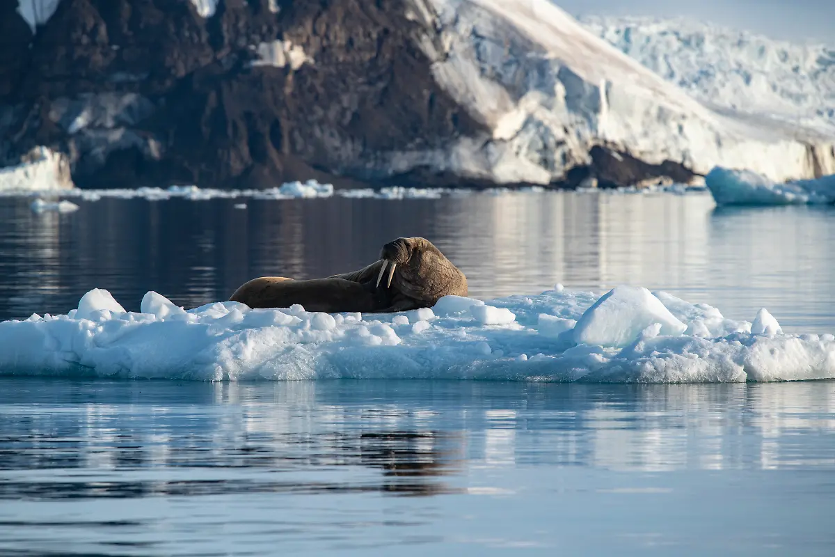 Bild-4-von-40-PC-2018-08-16-006