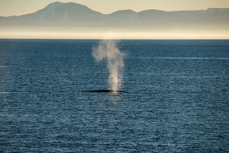 Bild-3-von-40-PC-2016-07-27-001