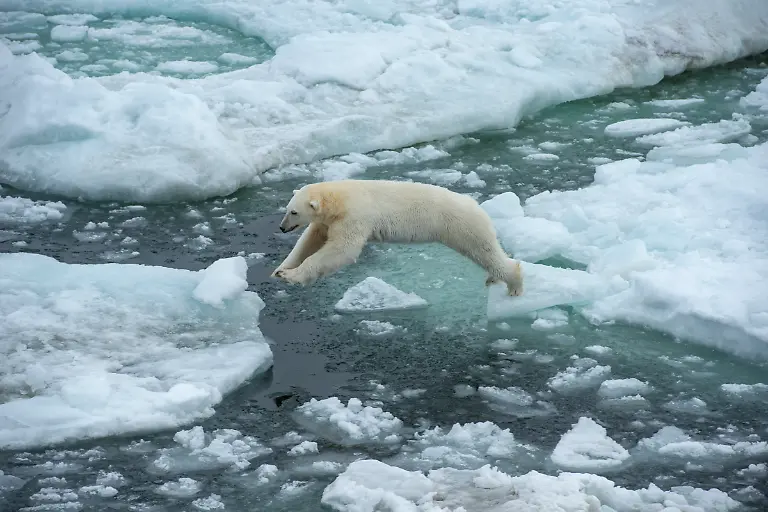 Bild-1-von-40-PC-2015-08-31-012