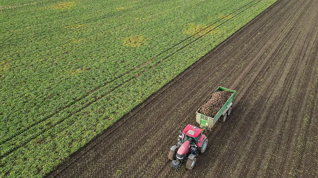 Die-Prognose-fuer-die-Ernte-in-Sachsen-Anhalt-ist-uneinheitlich