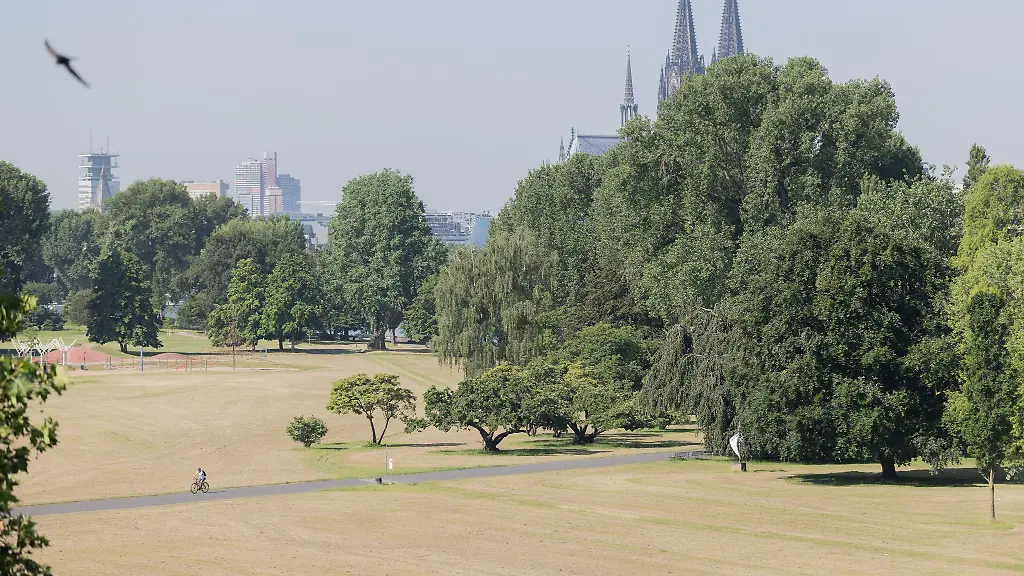 Die-Hoechsttemperaturen-liegen-laut-DWD-am-Freitag-bei-21-bis-26-Grad