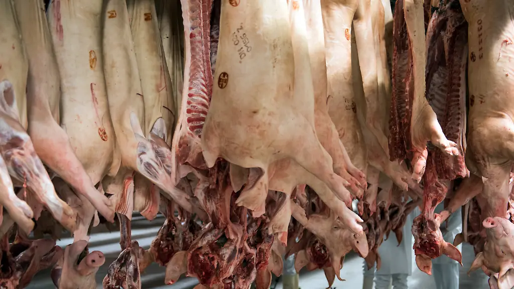 38ba38571acec8426dd7895892ebcda6