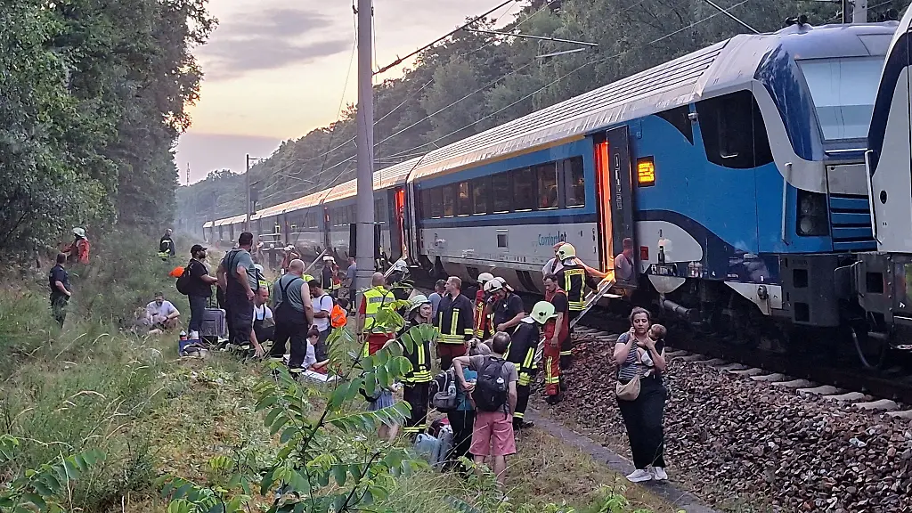 Der-Zug-verlor-seinen-Fahrstrom-weil-ein-Baum-auf-die-Oberleitung-gefallen-war
