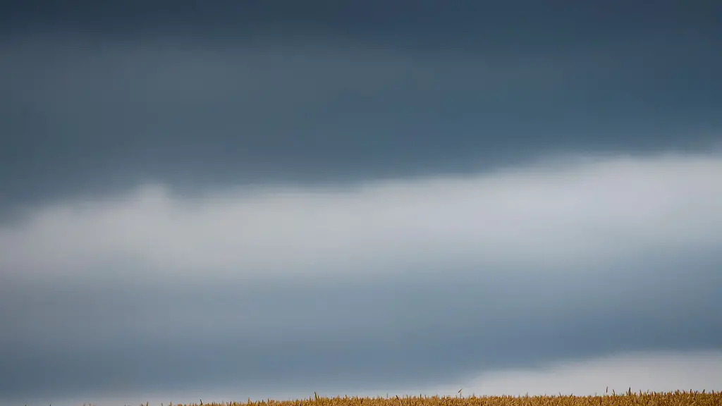 Dunkle-Wolken-ziehen-ueber-ein-Weizenfeld-Die-neue-Woche-startet-bewoelkt-bei-29-Grad