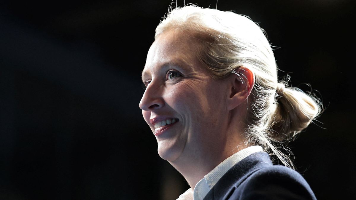 Weidel kritisiert Abwertung homosexueller Partnerschaften in AfD