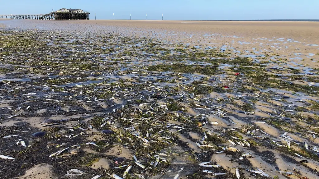 6ac0e16270ad346d0207347c58d1e1d8