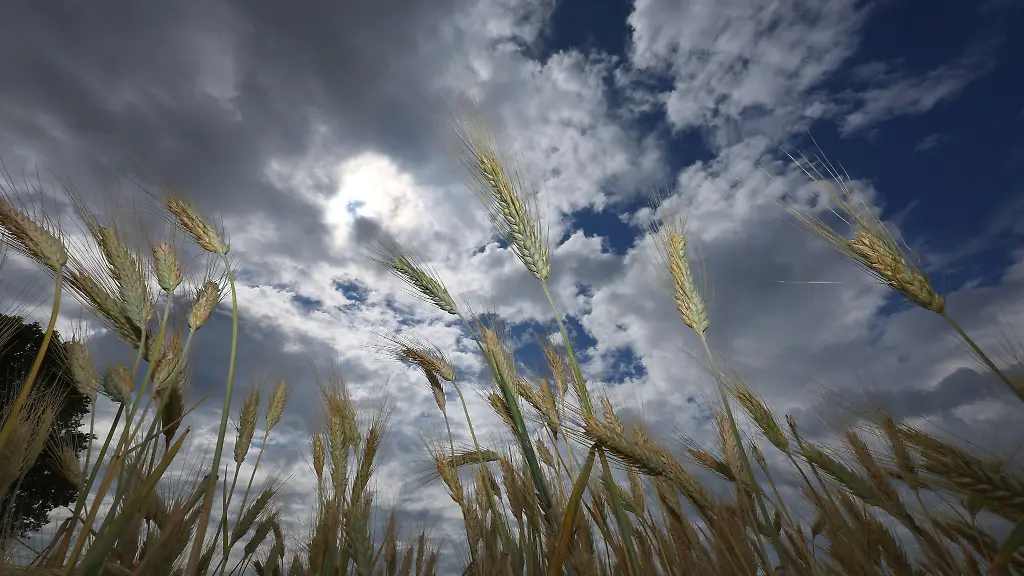 Zum-Wochenstart-ziehen-noch-graue-Wolken-ueber-Bayern